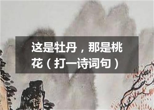 这是牡丹，那是桃花（打一诗词句）