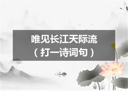 唯见长江天际流（打一诗词句）