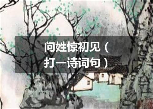 问姓惊初见（打一诗词句）