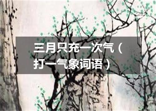 三月只充一次气（打一气象词语）