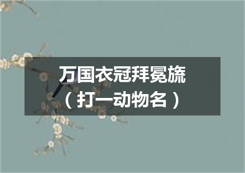 万国衣冠拜冕旒（打一动物名）