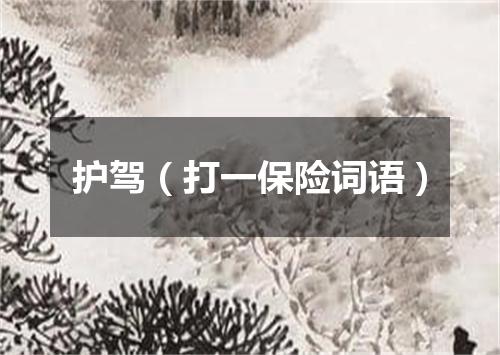 护驾（打一保险词语）