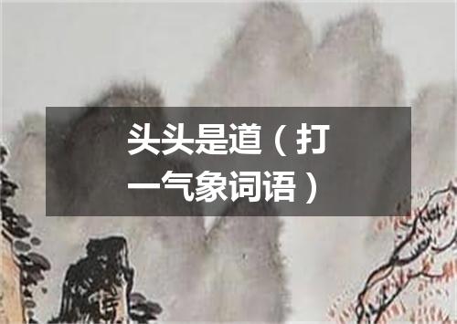 头头是道（打一气象词语）