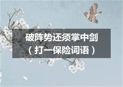 破阵势还须掌中剑（打一保险词语）