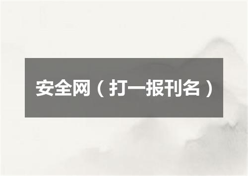 安全网（打一报刊名）