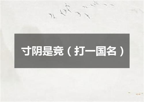 寸阴是竞（打一国名）
