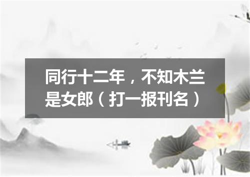 同行十二年，不知木兰是女郎（打一报刊名）