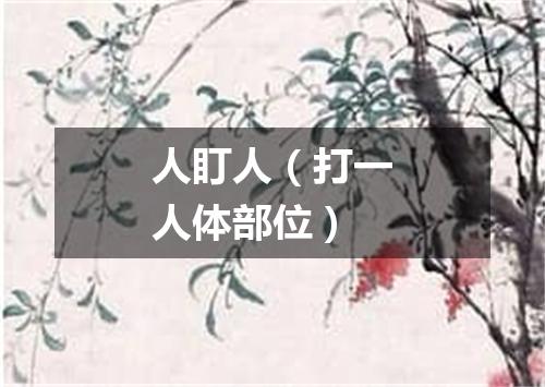 人盯人（打一人体部位）