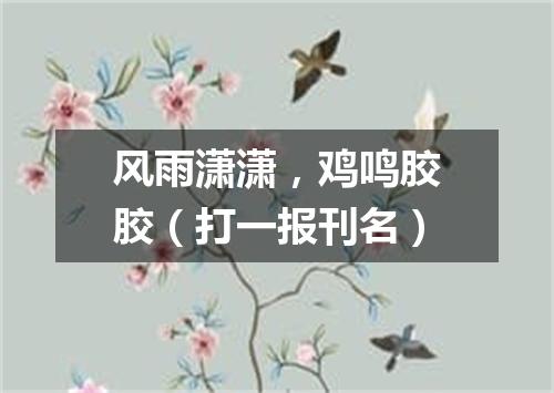 风雨潇潇，鸡鸣胶胶（打一报刊名）