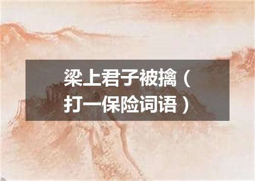 梁上君子被擒（打一保险词语）