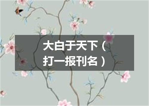 大白于天下（打一报刊名）