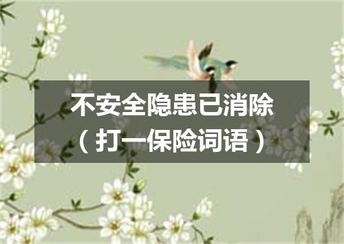 不安全隐患已消除（打一保险词语）