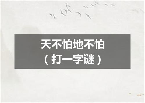 天不怕地不怕（打一字谜）
