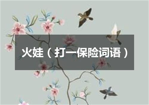 火娃（打一保险词语）