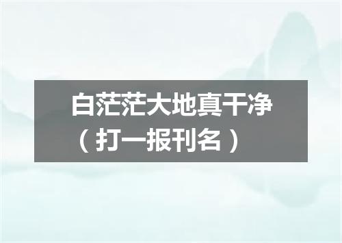 白茫茫大地真干净（打一报刊名）