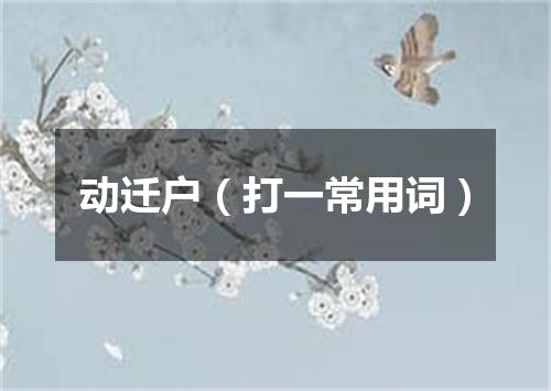 动迁户（打一常用词）