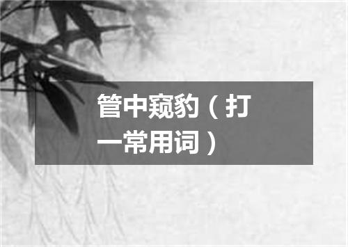 管中窥豹（打一常用词）