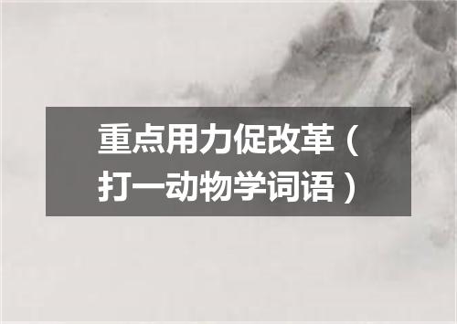 重点用力促改革（打一动物学词语）