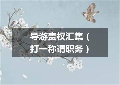 导游责权汇集（打一称谓职务）