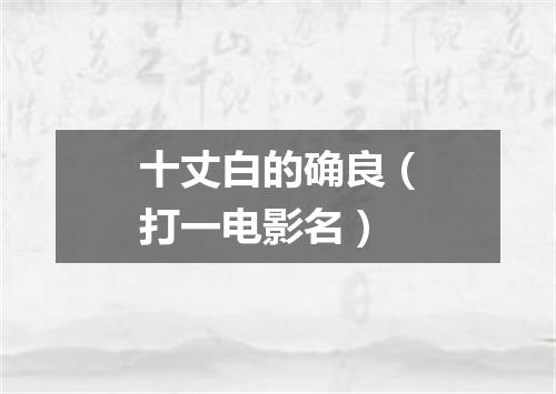 十丈白的确良（打一电影名）
