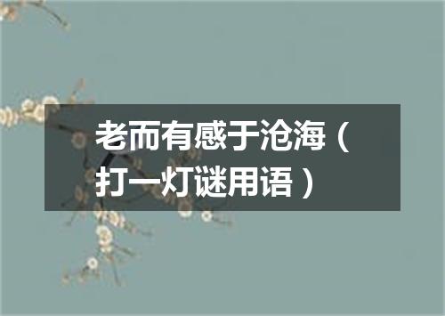 老而有感于沧海（打一灯谜用语）