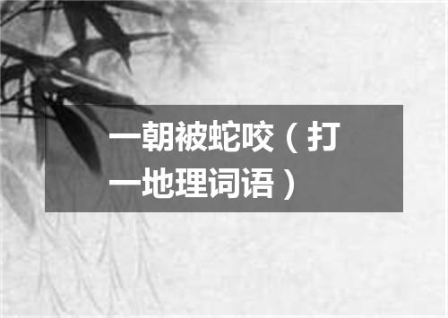 一朝被蛇咬（打一地理词语）