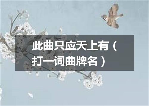 此曲只应天上有（打一词曲牌名）