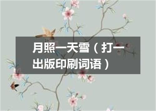 月照一天雪（打一出版印刷词语）