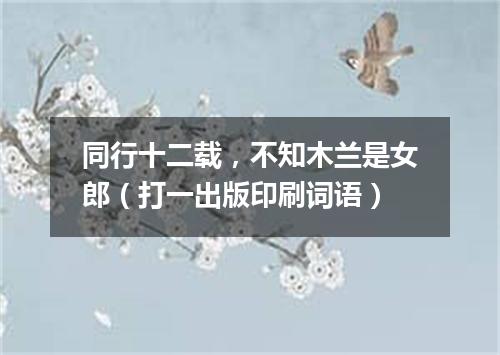 同行十二载，不知木兰是女郎（打一出版印刷词语）