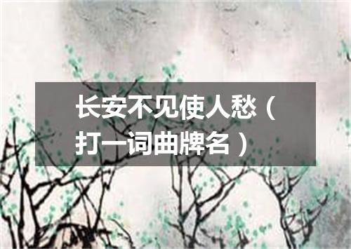 长安不见使人愁（打一词曲牌名）