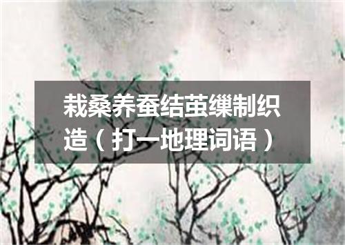 栽桑养蚕结茧缫制织造（打一地理词语）