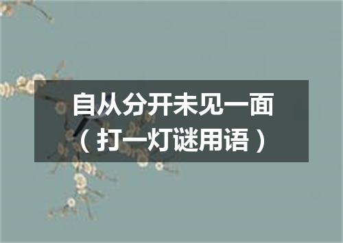 自从分开未见一面（打一灯谜用语）