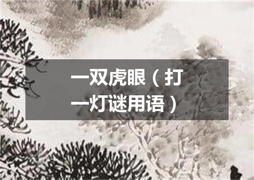 一双虎眼（打一灯谜用语）