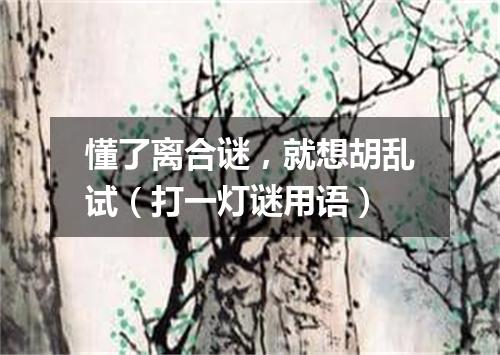 懂了离合谜，就想胡乱试（打一灯谜用语）