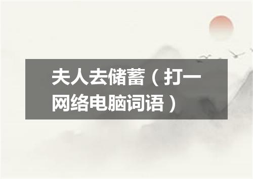 夫人去储蓄（打一网络电脑词语）