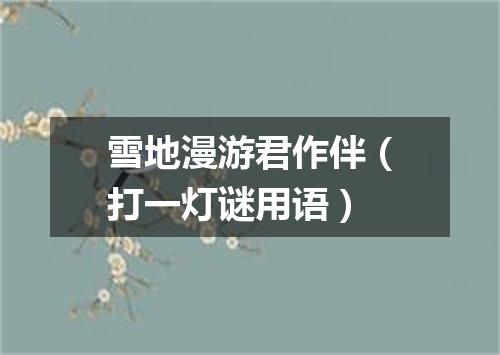 雪地漫游君作伴（打一灯谜用语）