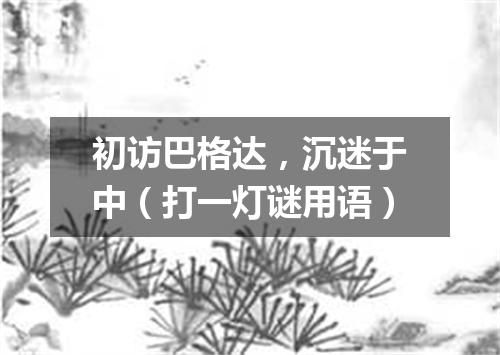 初访巴格达，沉迷于中（打一灯谜用语）