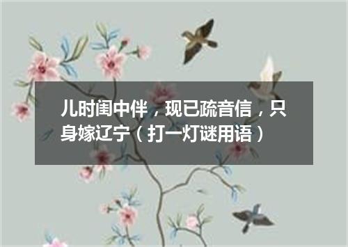 儿时闺中伴，现已疏音信，只身嫁辽宁（打一灯谜用语）