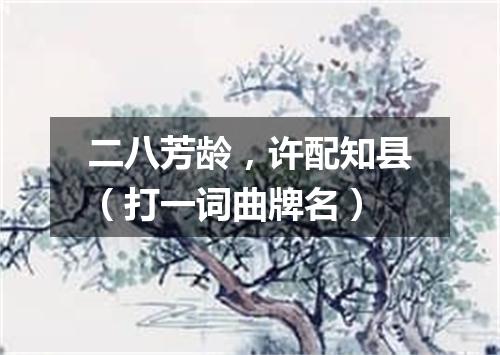 二八芳龄，许配知县（打一词曲牌名）