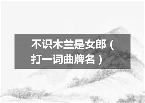 不识木兰是女郎（打一词曲牌名）