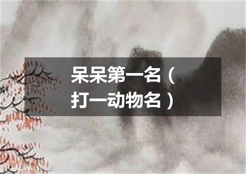 呆呆第一名（打一动物名）