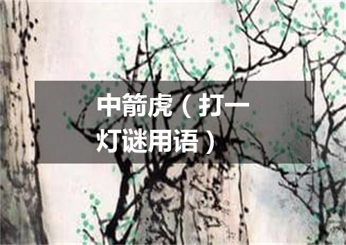 中箭虎（打一灯谜用语）