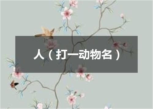 人（打一动物名）