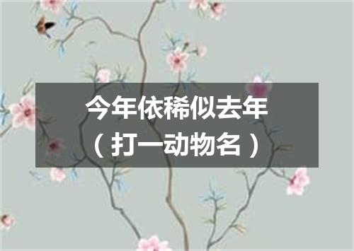 今年依稀似去年（打一动物名）