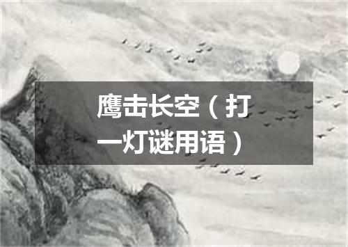 鹰击长空（打一灯谜用语）