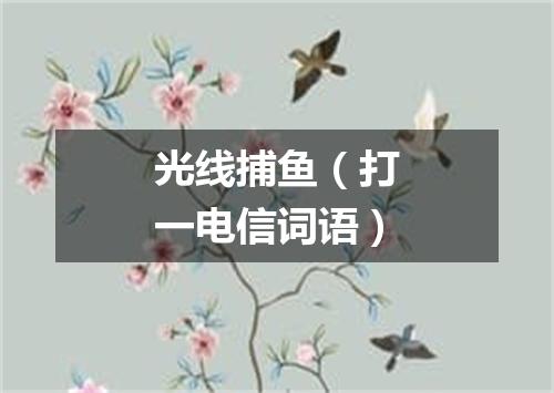 光线捕鱼（打一电信词语）