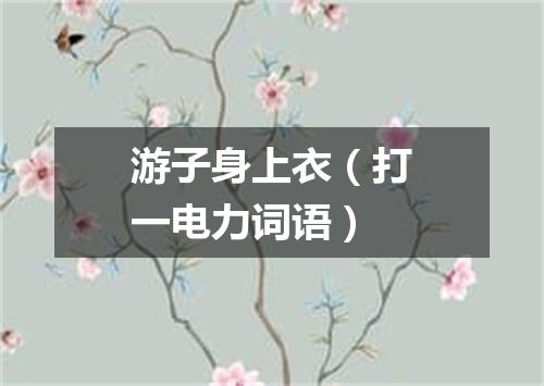 游子身上衣（打一电力词语）