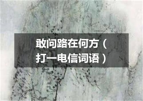敢问路在何方（打一电信词语）