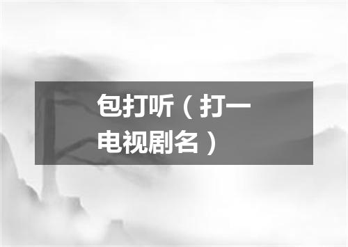 包打听（打一电视剧名）