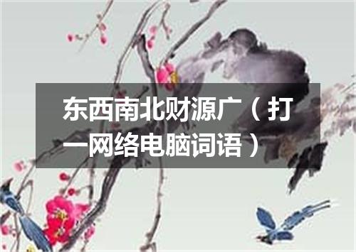 东西南北财源广（打一网络电脑词语）
